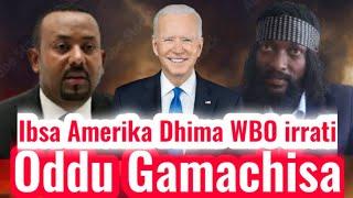 OMN:ODDU AMME - Bagaa Gammadan - Ibsa Amerika Dhima WBO fi Motuma Araara akka buusan Akekachiste