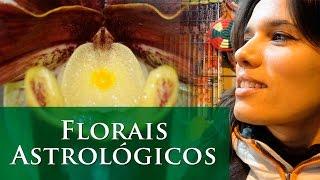 FLORAIS ASTROLÓGICOS - KARMA E ASTROLOGIA - ASTROLOGIA ALQUÍMICA