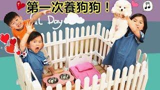 第一次養狗狗寵物！博美狗狗好可愛喔~ 準備狗狗用品!Puppy Pomeranian Breeding Dog（Toys Opening）！