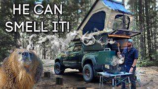 Smoking Food in Bear Country while Truck Camping