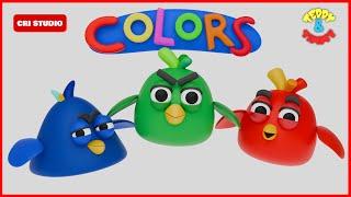 Learn Color Name | Birds Color Videos for Kids | Education for Kids | Preschool Learning Videos