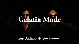 Post Animal - Gelatin Mode [OFFICIAL MUSIC VIDEO]