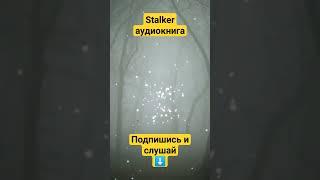 9 Фантомный поселок Потерянный сектор STALKER аудиокнига Александра Родина #аудиокнига #сталкер