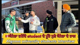 ਕੈਨੇਡਾ ਰਹਿੰਦੇ student ਦੇ ਮੂੰਹੋ ਸੁਣੋ ਕੈਨੇਡਾ ਦੇ ਹਾਲ |Algoma university students Interview#canada