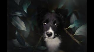 For soul ~ Английский для души и жизни