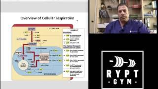 RYPT Gym Intro - Embrace Repetition