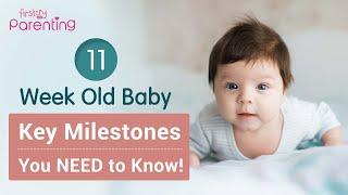 11 Weeks Old Baby : Milestones, Development & Care Tips