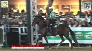 Raiz de San Genaro - Campeã Nacional de Marcha Égua Graduada Maior 2023