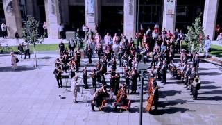 Huge symphonic & choir flashmob - Budapest, Hungary - Bánk Bán's Aria, My homeland, my homeland