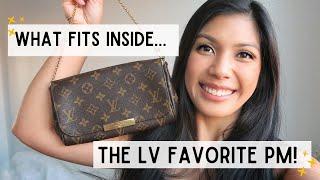 WHAT FITS INSIDE THE LOUIS VUITTON FAVORITE PM!? | Michelle Orgeta