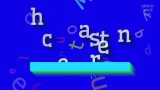 CHASTENER - How to say Chastener?