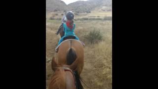 Dasha horse riding 2