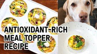 Antioxidant-Rich Meal & Kibble Toppers to Boost Your Dog's Food