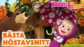 Masha och Björnen   Bästa höstavsnitt  Samling av avsnitt 