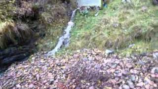 Stream Engine on a wet day.wmv