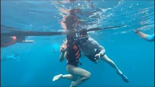 Swim with the WHALESHARKS IN OSLOB CEBU by Kiwipino Guy and the wife.