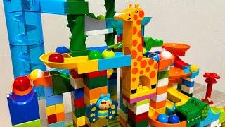 Marble run (block course)  Animal course such as crocodiles, whales, bears, etc.