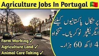 Portugal Agriculture Jobs & Work Visa || Every Visa || Hindi/Urdu ||