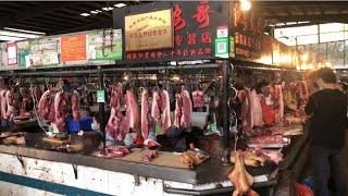 Chinese Wet Market Tour ,Funny and Weird Things Also Important Warning