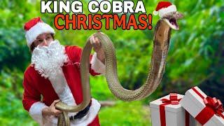 SANTA GOT ME A KING COBRA!?