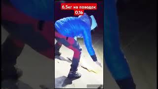 Сазан на фидер. Онлайн, поводок 0,16.
