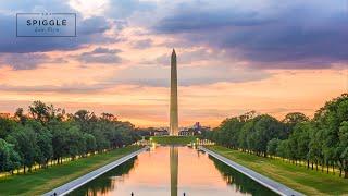 What Does the D.C. Human Rights Act Cover in Employment Law?