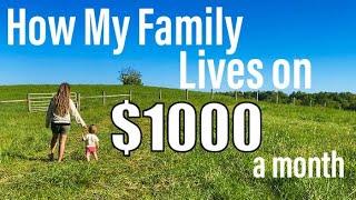 My $1000 Monthly Budget  | How I am Cutting Expenses in 2024 | COST OF LIVING CRISIS ‼️