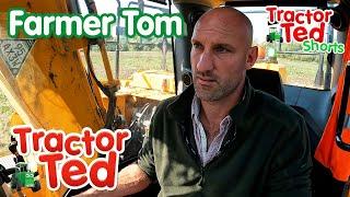 Let's Look At Farmer Tom On Father's Day ‍ | Tractor Ted Shorts | Tractor Ted Official Channel