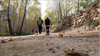 Ruta otoñal: Los molinos de Alborache. SUB) Autumnal route: The mills of Alborache.