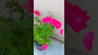 subscribe Meghana And Gaurav Channel (2)