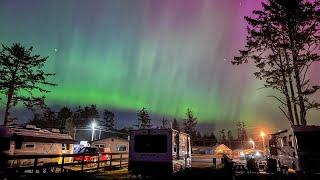AN EPIC WEEK of ROAD LIFE! NORTHERN LIGHTS & GRIZZLY BEARS! Living in a Travel Trailer | Van Life
