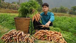 Harvest carrots, Go to the market to sell, Make a wooden dog house