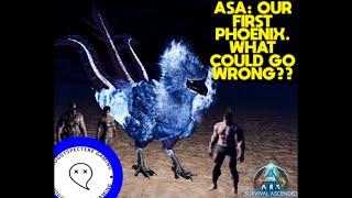 ASA: Our First Phoenix Tame -  What could go Wrong??