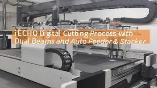 IECHO Digital Cutting Process with Dual Beams and intelligent conveyor system