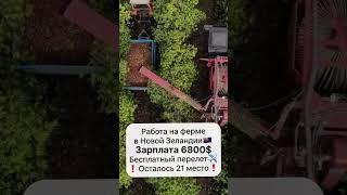 Работа в Европе #вакансии #работавевропе
