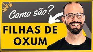 Como são as filhas de OXUM | UMBANDA | Adérito Simões - Teologia