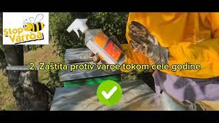 Kako zaustaviti varou u potpunosti sa Stopvarroa - How to eliminate all varroa mites with STOPVARROA