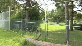 Lodi Township animal sanctuary caught in controversy regarding wolf-dog enclosure