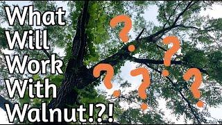 Black Walnut - What Plants Can Thrive with Them!?!?