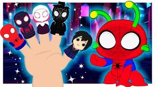 Familia dedo SPIDERMAN! | Canciones Infantiles | Groovy el Marciano