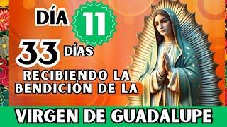 día 11 /VIRGEN DE GUADALUPE  33 de CONSAGRACIÓN para la LLUVIA DE BENDICIÓN /San Juan Pablo II