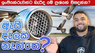 ඇයි engine දැලක් නැත්තේ | Why Planes Can't Have "Bird Nets"