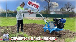 Мотоблок Нева - насколько легко им работать? Проверяет ребенок...