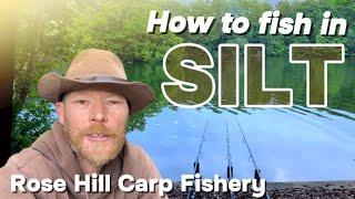 Summer Carp Fishing in Silt 2024