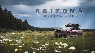 Overlanding the Best of the Arizona White mountains