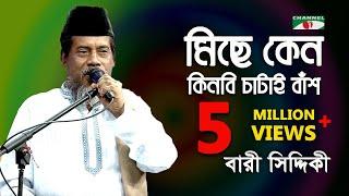 মিছে কেন কিনবি চাটাই বাঁশ || Bari Siddiqui || Channeli - IAV