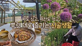 sub)recommending 3 types of green onion, making Korean pancake and kimchi, makgeolli, spring flowers