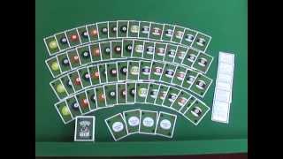 Poker Pool Playing Cards - Introduction Video