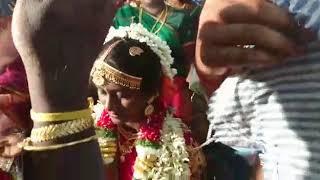 Hindu bhramin wedding thirumaangalya tharanam