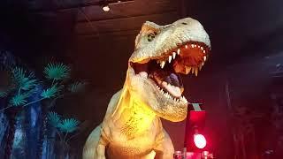 Face to face with the mighty Tyrannosaurus-rex!